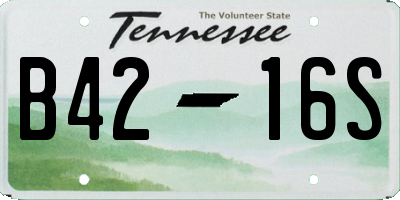 TN license plate B4216S
