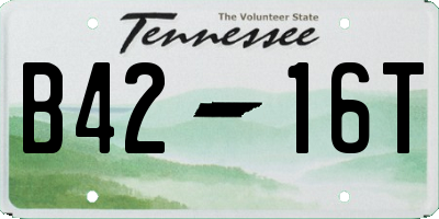 TN license plate B4216T