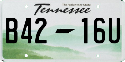 TN license plate B4216U