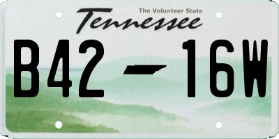TN license plate B4216W