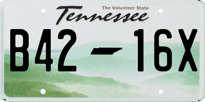 TN license plate B4216X