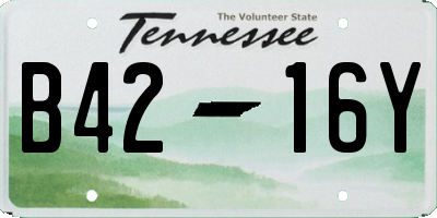 TN license plate B4216Y
