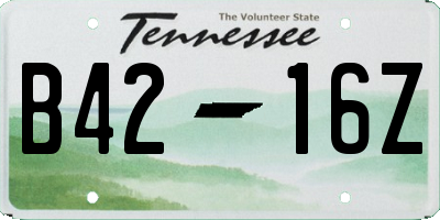 TN license plate B4216Z