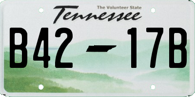 TN license plate B4217B