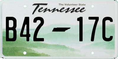 TN license plate B4217C
