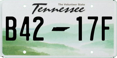 TN license plate B4217F