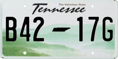 TN license plate B4217G