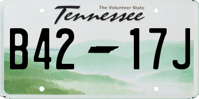 TN license plate B4217J