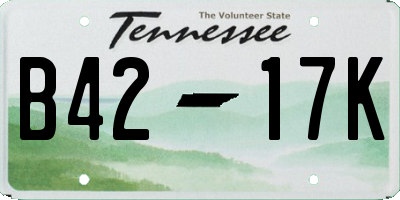TN license plate B4217K