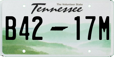 TN license plate B4217M