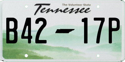 TN license plate B4217P