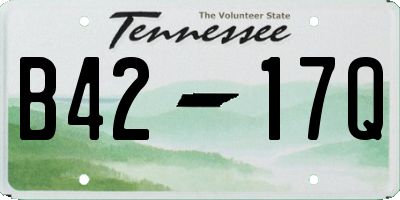 TN license plate B4217Q