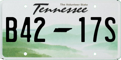 TN license plate B4217S