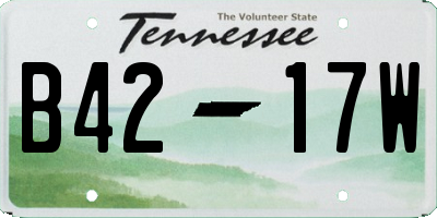 TN license plate B4217W