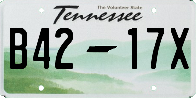 TN license plate B4217X