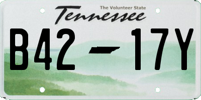 TN license plate B4217Y