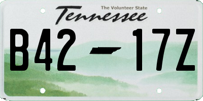 TN license plate B4217Z