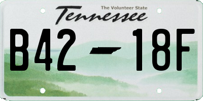 TN license plate B4218F