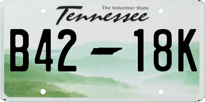 TN license plate B4218K