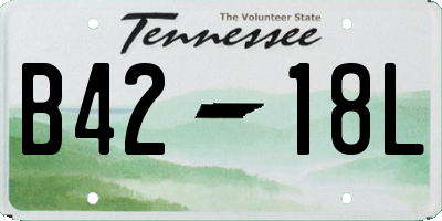 TN license plate B4218L