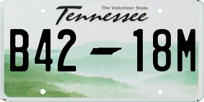 TN license plate B4218M