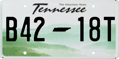 TN license plate B4218T