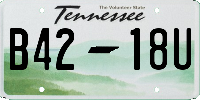 TN license plate B4218U
