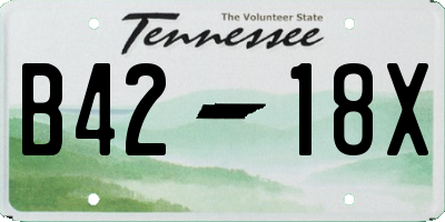 TN license plate B4218X