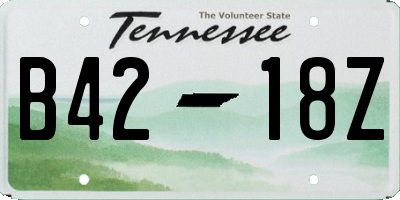 TN license plate B4218Z