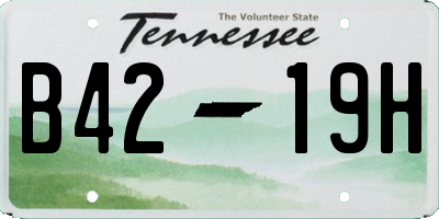 TN license plate B4219H