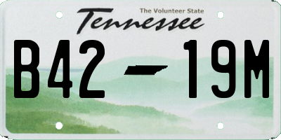 TN license plate B4219M