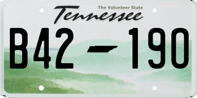 TN license plate B4219O