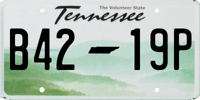 TN license plate B4219P