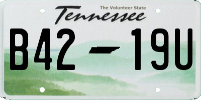 TN license plate B4219U