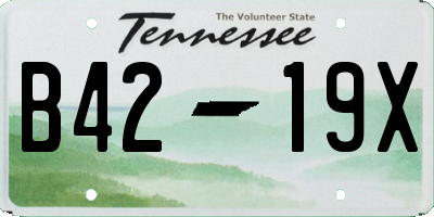 TN license plate B4219X
