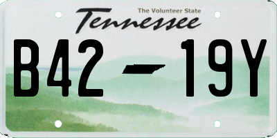 TN license plate B4219Y