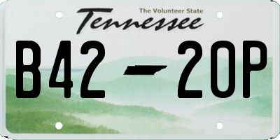 TN license plate B4220P
