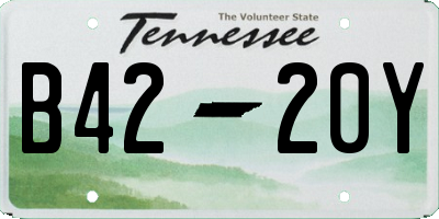 TN license plate B4220Y