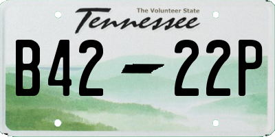 TN license plate B4222P