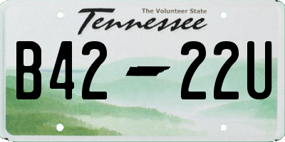 TN license plate B4222U
