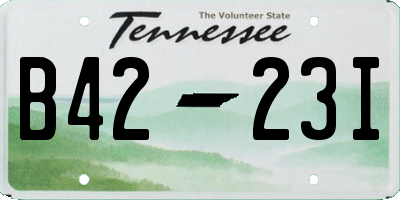 TN license plate B4223I