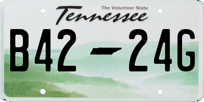 TN license plate B4224G