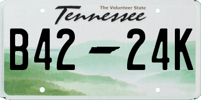 TN license plate B4224K