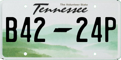 TN license plate B4224P