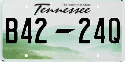 TN license plate B4224Q