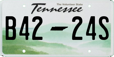 TN license plate B4224S