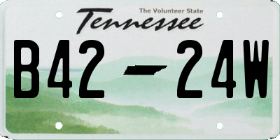 TN license plate B4224W