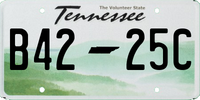 TN license plate B4225C