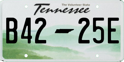 TN license plate B4225E