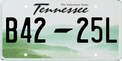 TN license plate B4225L